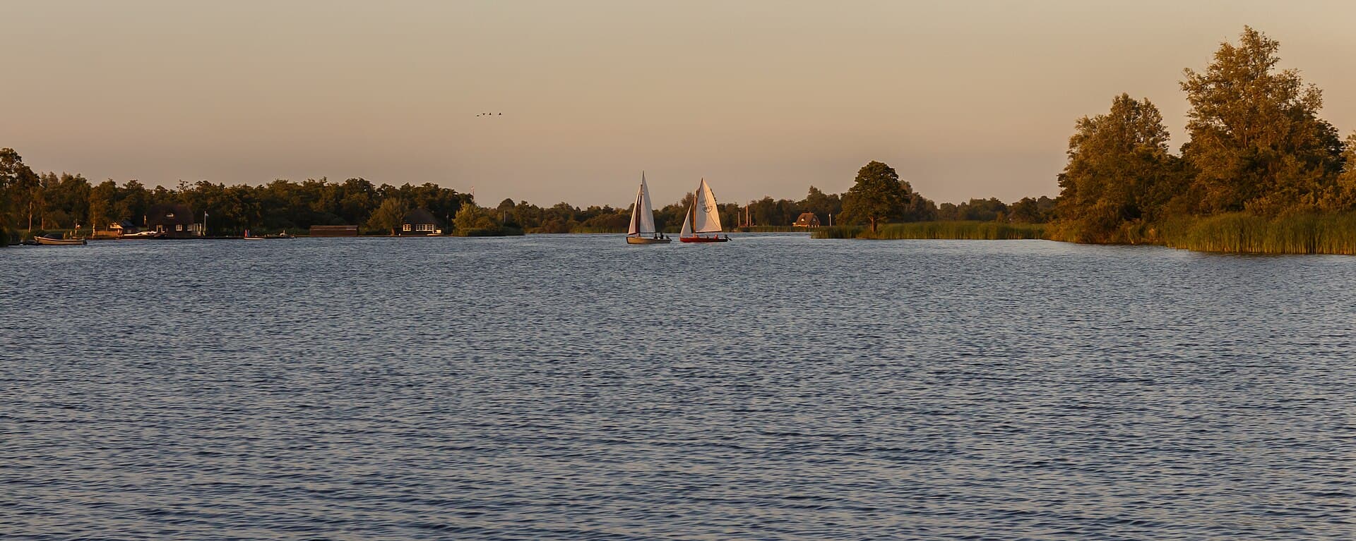 Alde Feanen - Zicht vanaf het water op de Alde Feanen van het It Fryske Gea. Waardevol natuurgebied in Friesland 30