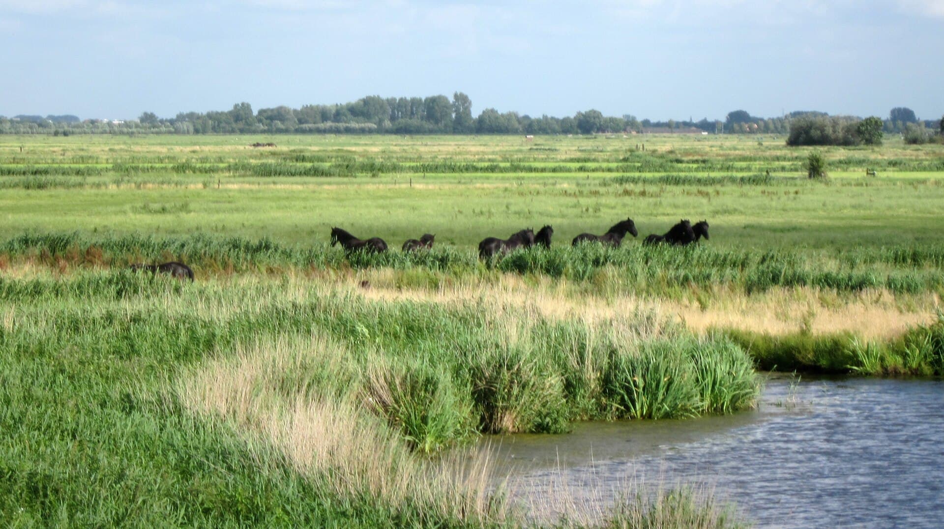 Arkemheen - Arkemheen polders, Netherlands. - panoramio