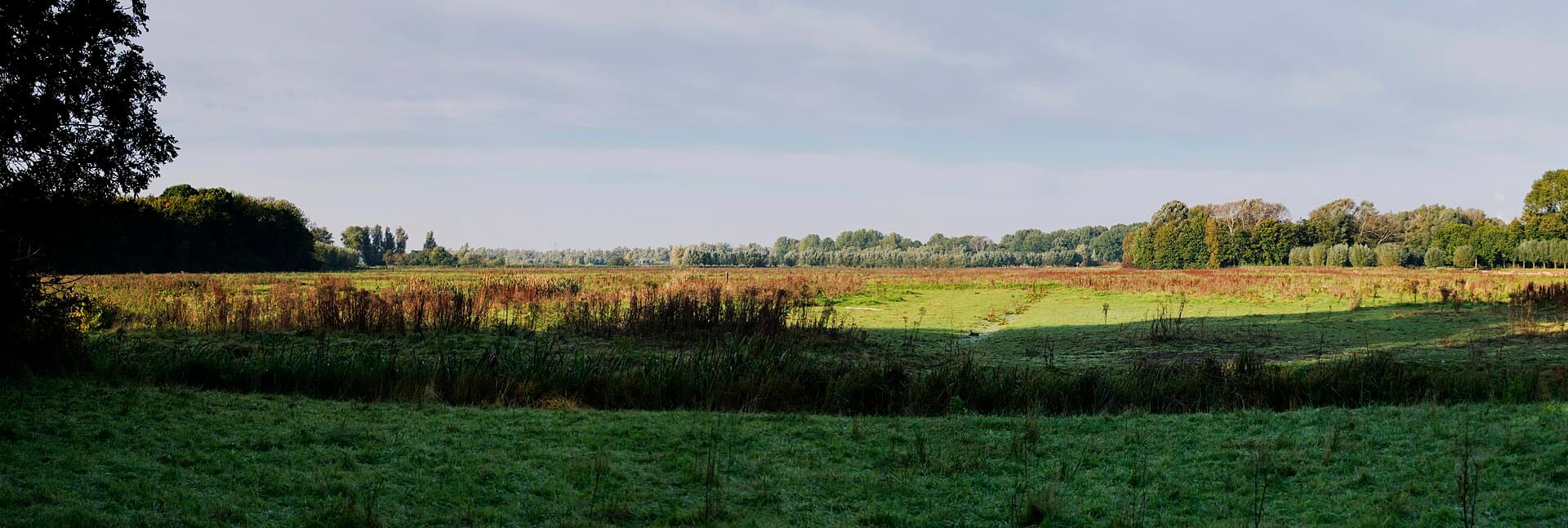 Biesbosch - Panorama The Zuileshoeve (22911317076)