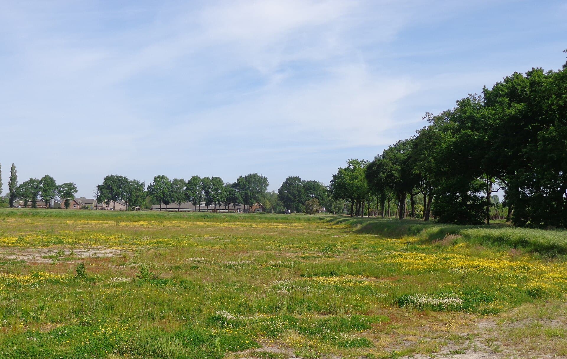 Binnenveld - Binnenveldse Hooilanden