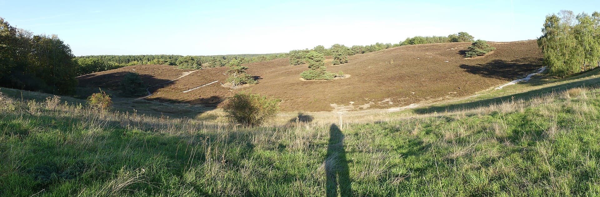 Brunssummerheide - Brunssummerheide P1310838
