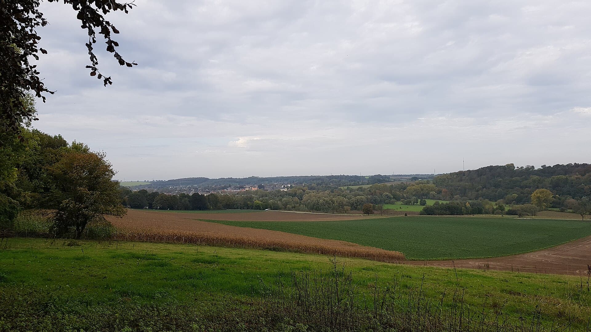 Geuldal - Oud-Valkenburg-zicht op Valkenburg vanuit Sint-Jansbosch (1)