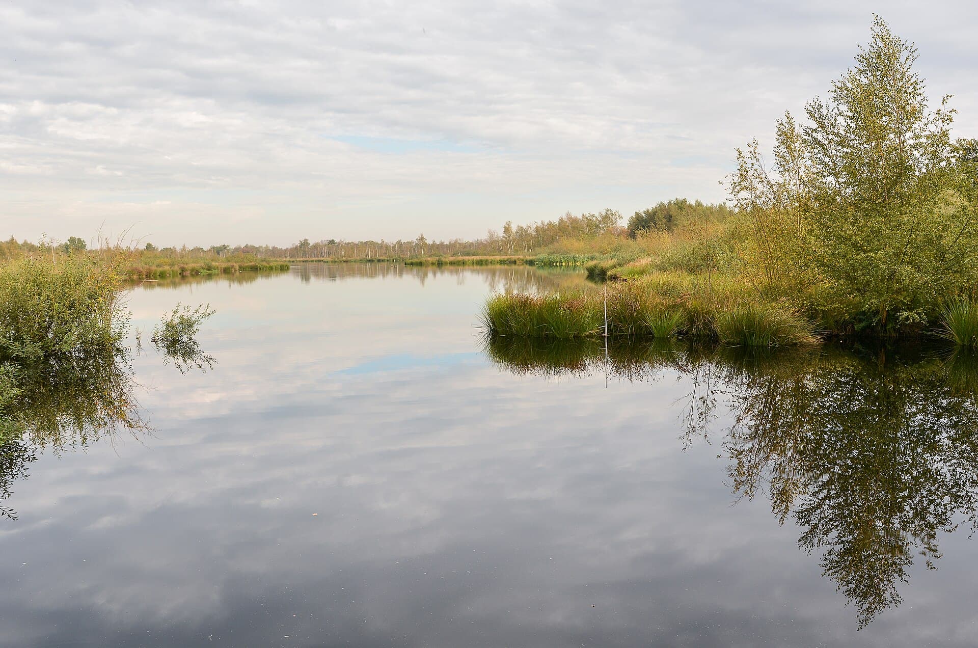 Groote Peel - De-Groote-Pleen-Landschaft-Meerbaansblaak-2015