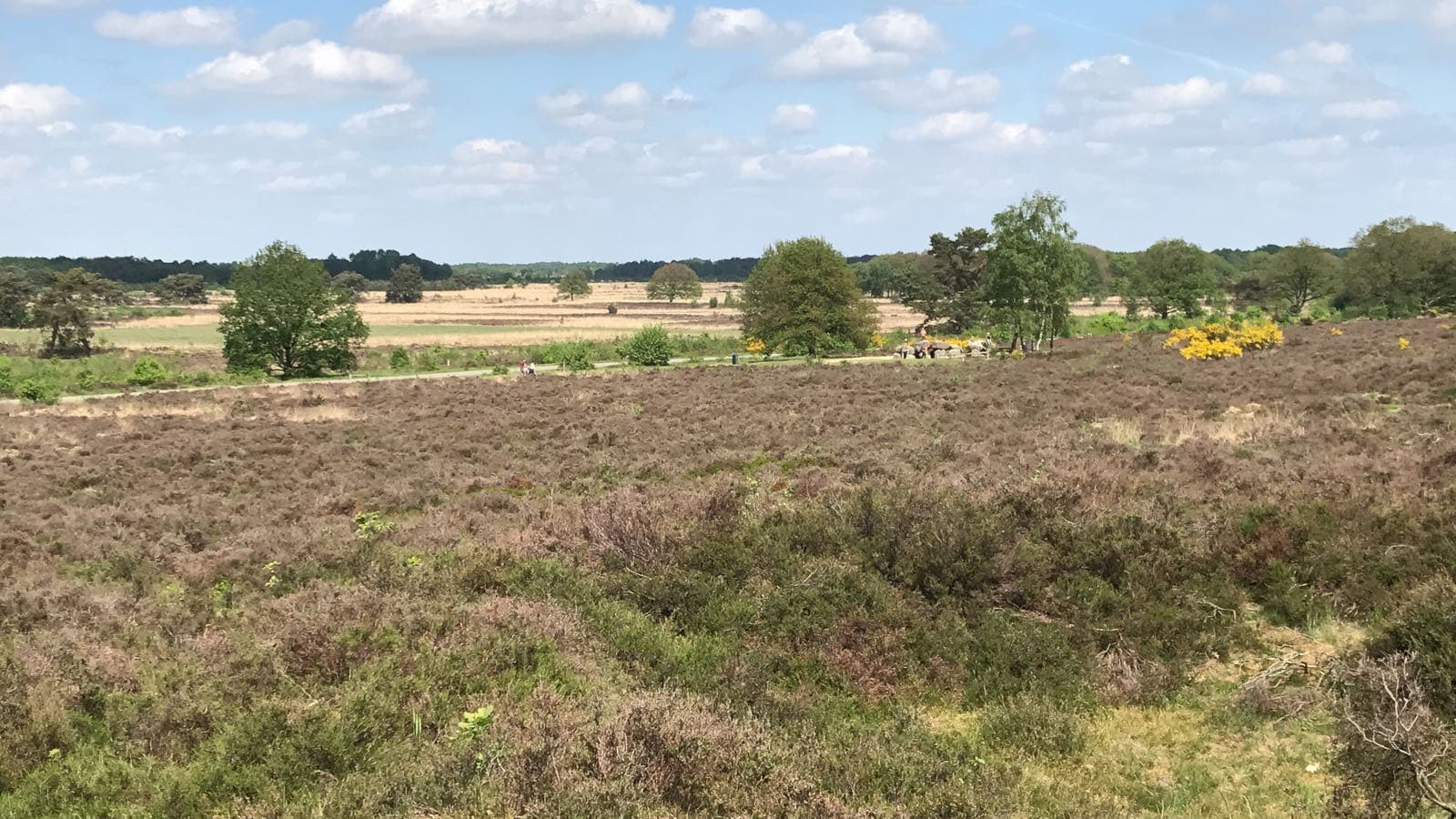 Holtingerveld - Havelterberg IMG-20180511-WA0009