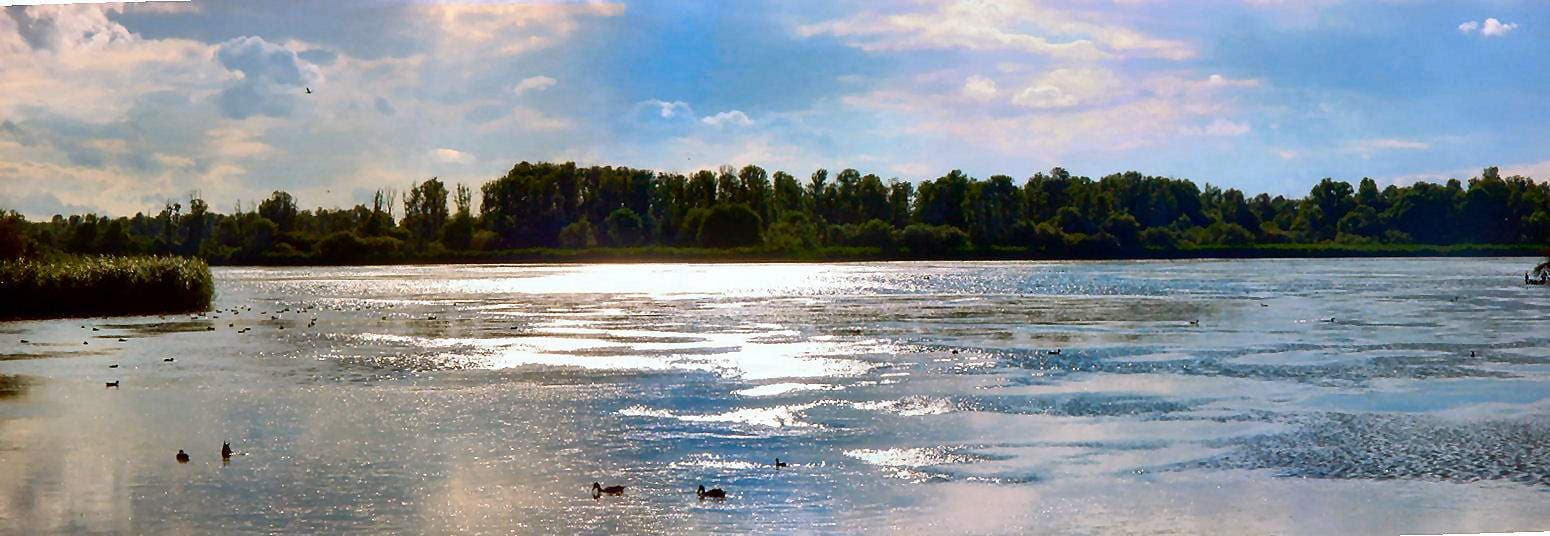 Lepelaarplassen - Uit kijk Hut lepelaar - panoramio