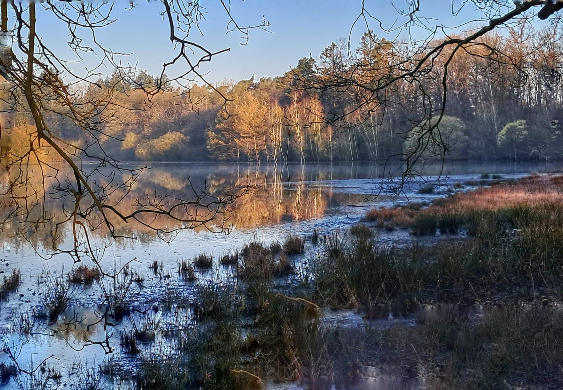 Lonnekermeer - Wildernis 28-3