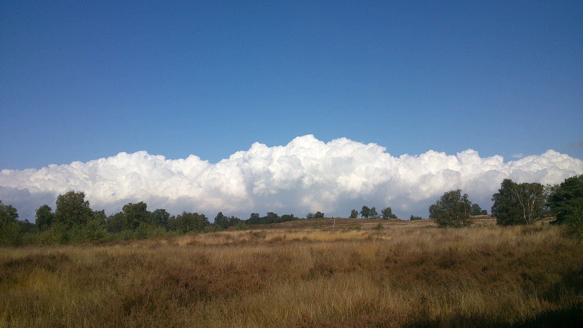 Maasduinen - Hamert Arcen - panoramio