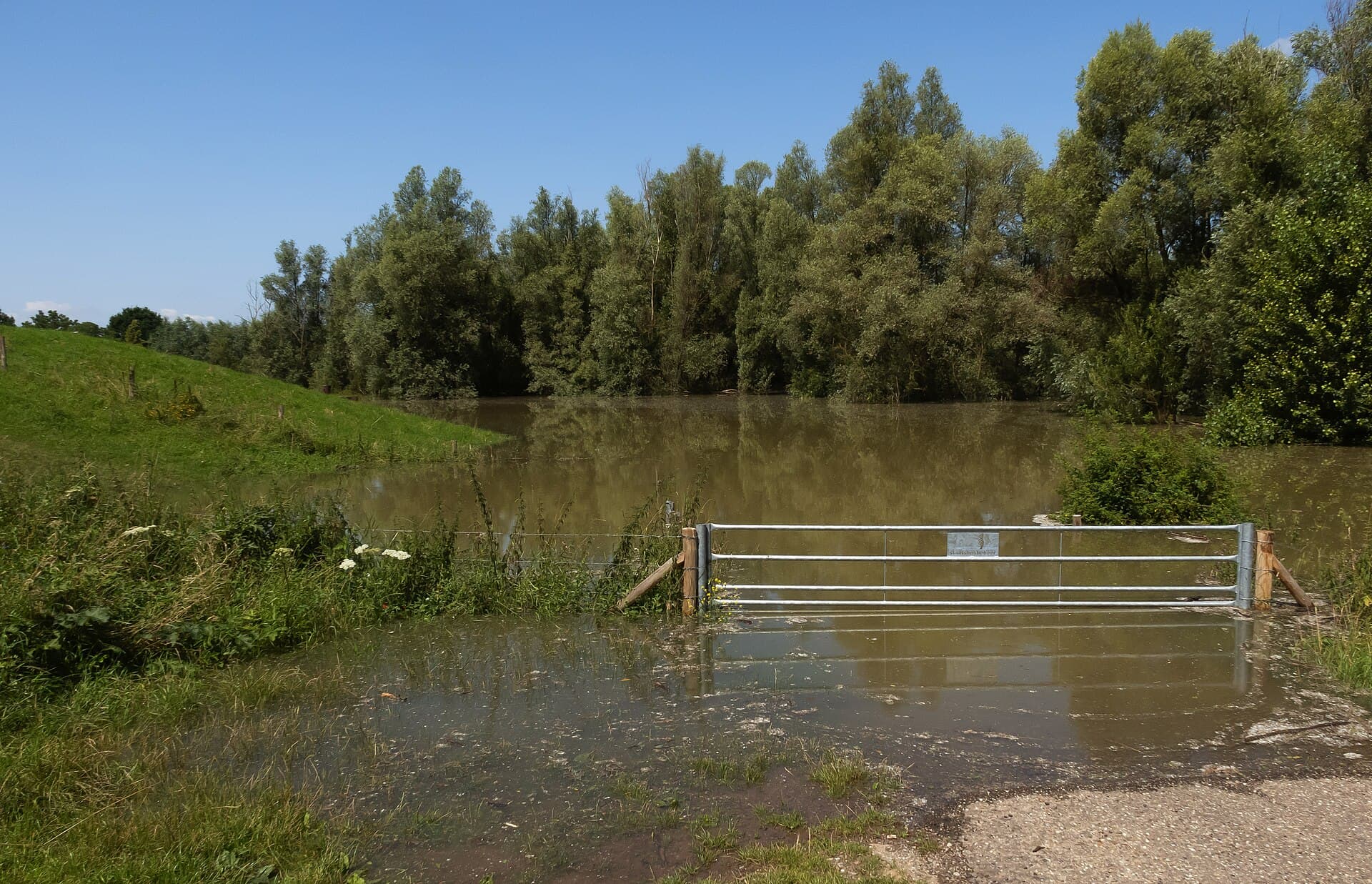 Rijntakken - Bij Ooij, hek naar de uiterwaarden tijdens hoog water in de Waal IMG 9810 2021-07-18 13.15