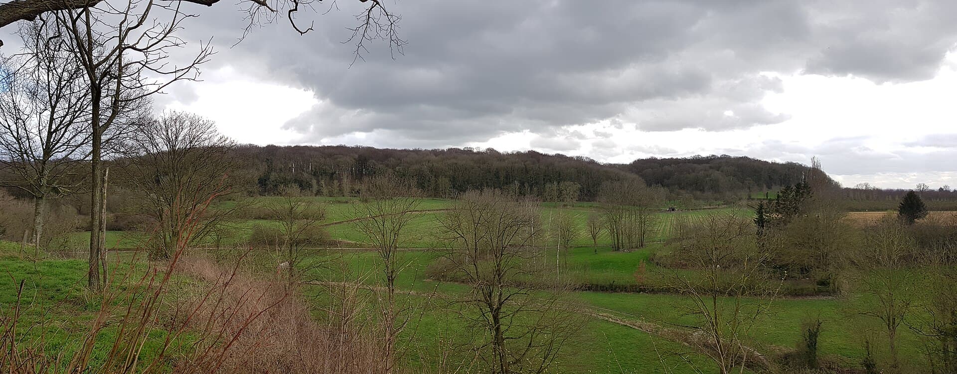Savelsbos - Gronsveld-Savelsbos (7)