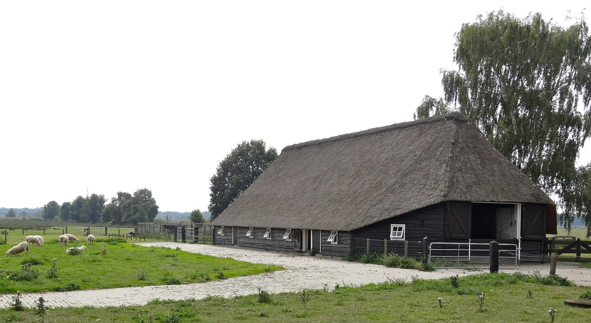 Wierdense Veld - 20130829 Wierdense Veld2