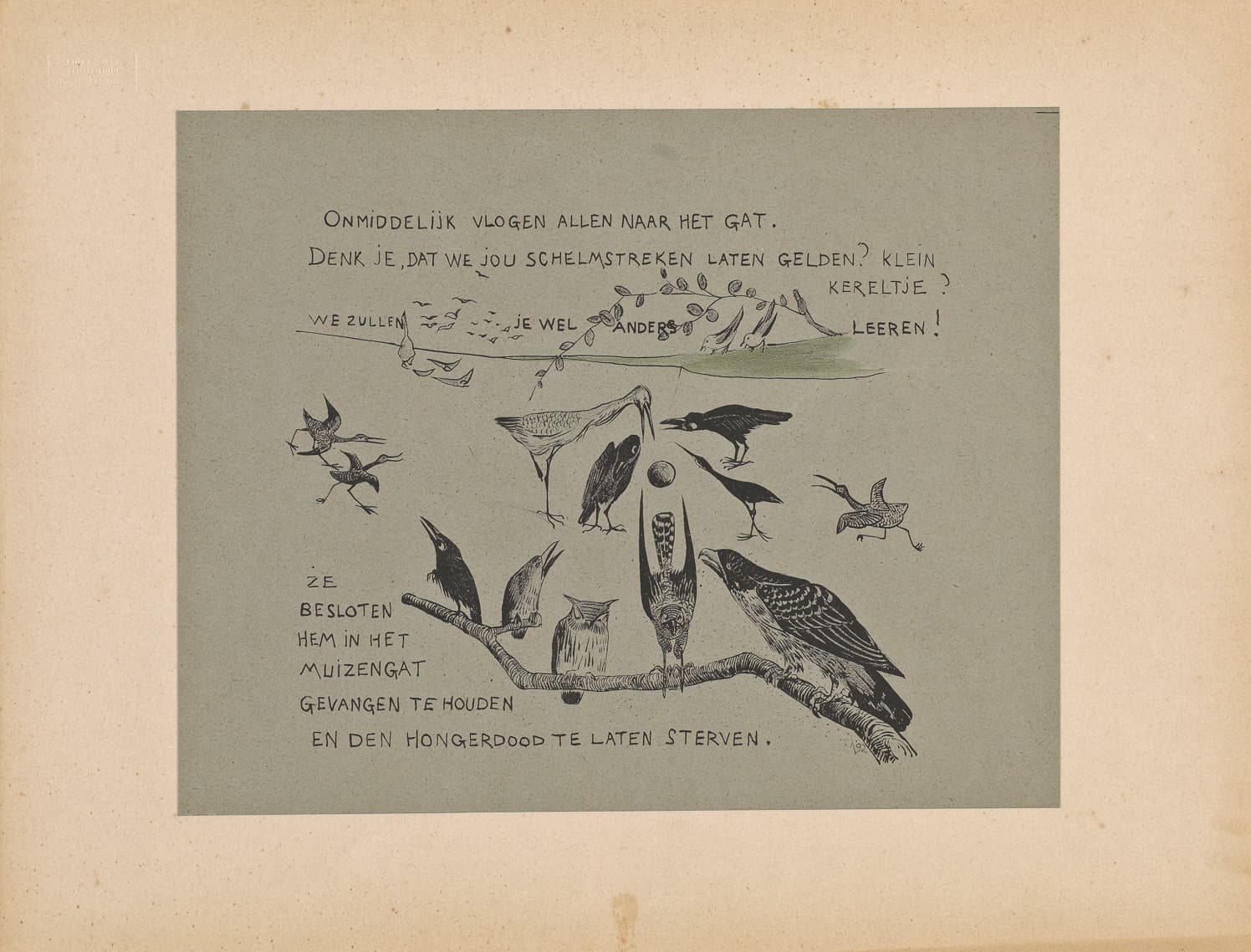 Havik (Accipiter gentilis) - Dutch: Hoe de vogels aan een koning kwamen : eene vogelgeschiedenis, gevolgd naar een oude legende Hoe de vogels aan een koning kwamentitle QS:P1476,nl:"Hoe de vogels aan een koning kwamen : eene vogelgeschiedenis, gevolgd naar een oude legende "label QS:Lnl,"Hoe de vogels aan een koning kwamen : eene vogelgeschiedenis, gevolgd naar een oude legende "label QS:Len,"Hoe de vogels aan een koning kwamen"