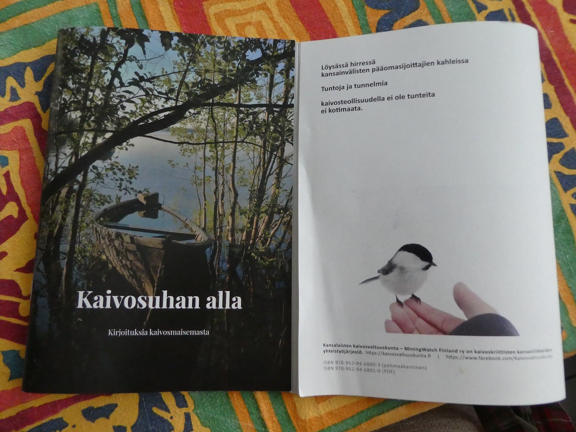 Matkop (Poecile montanus) - Kaivosuhanalla