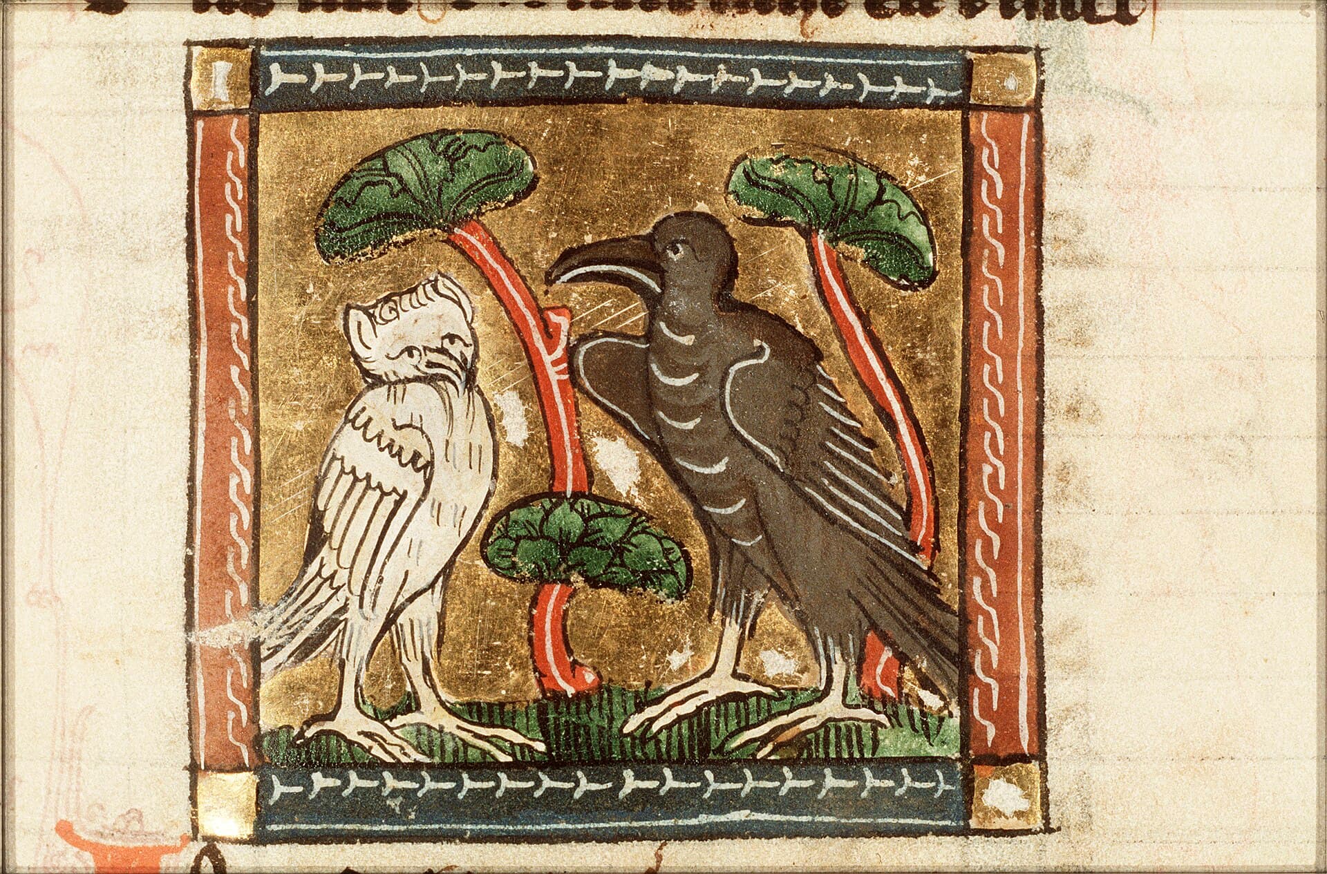 Raaf (Corvus corax) - Incendula (raven) - miniature from folio 091r from Der naturen bloeme (KB KA 16) by Jacob van Maerlant