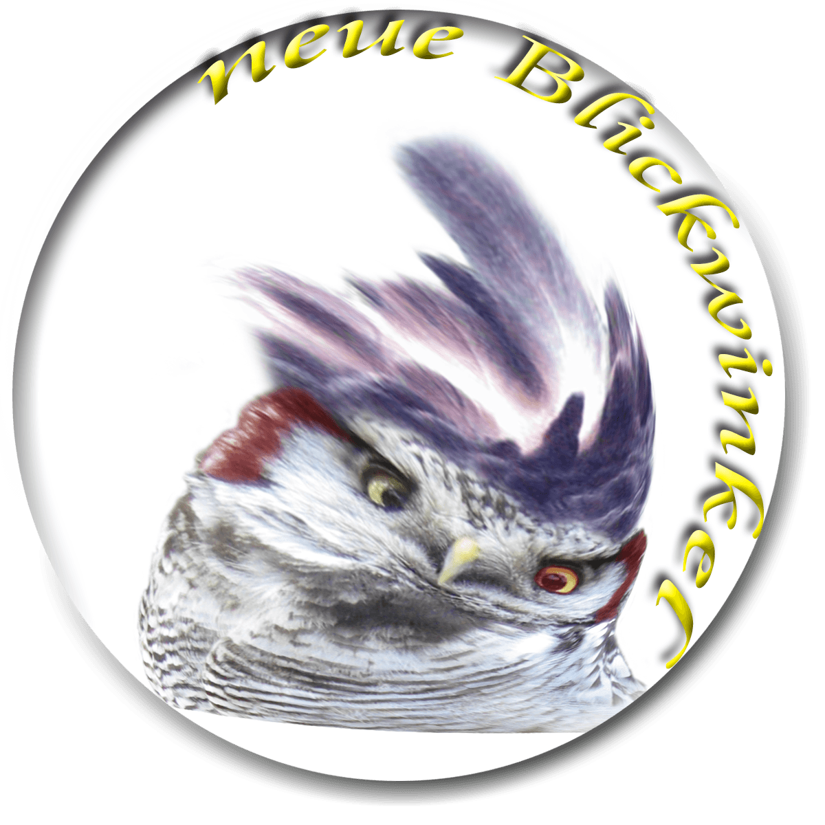 Sperweruil (Surnia ulula) - Harpy-Hawl-owl Smilie Blickwinkel