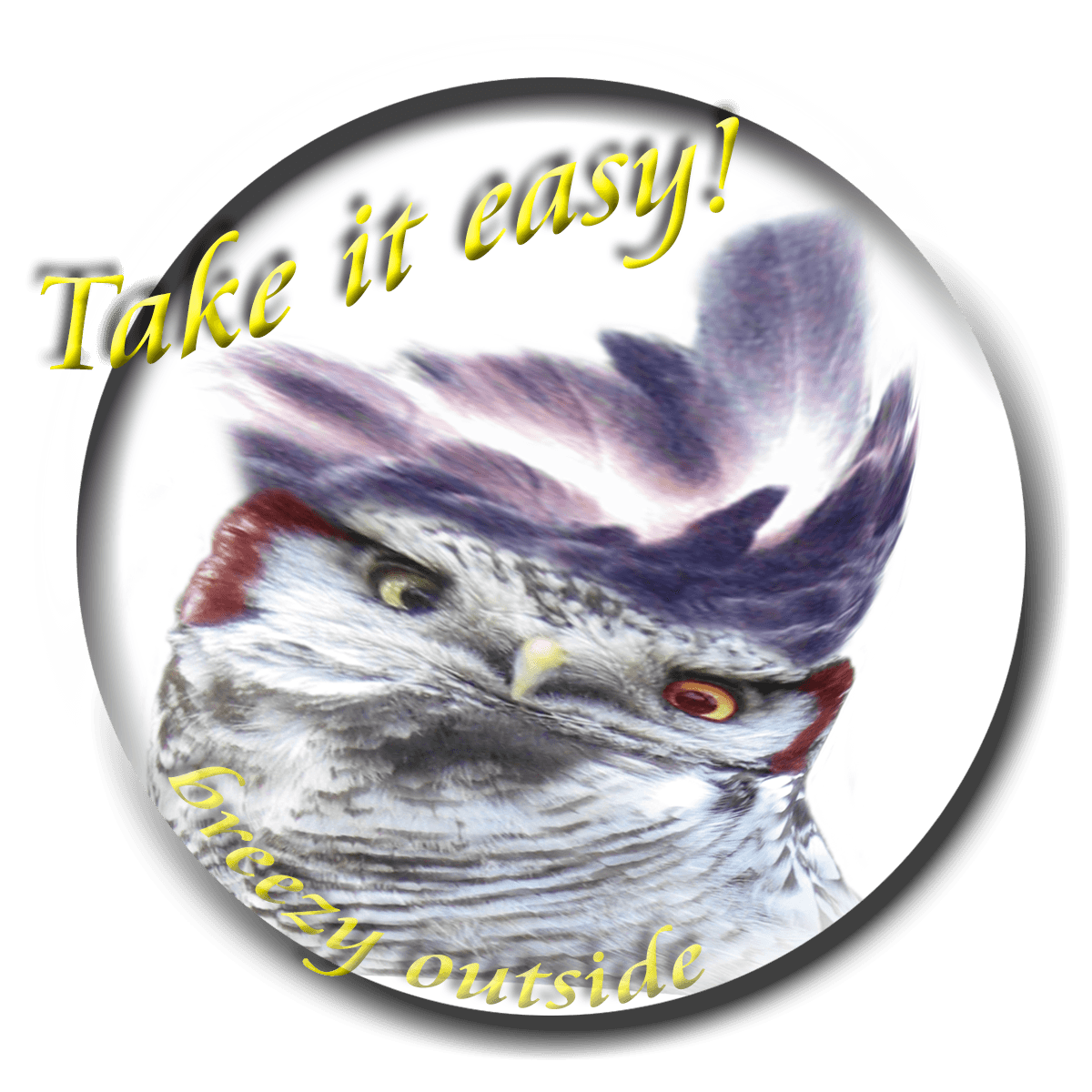Sperweruil (Surnia ulula) - Harpy-Hawl-owl Smilie Take it easy