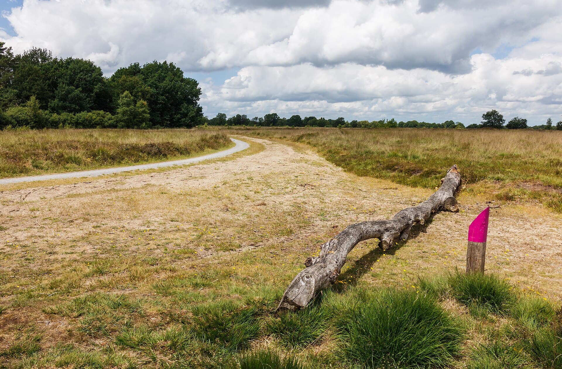 Drentsche Aa-gebied - Balloërveld, natuurgebied in Drenthe 006