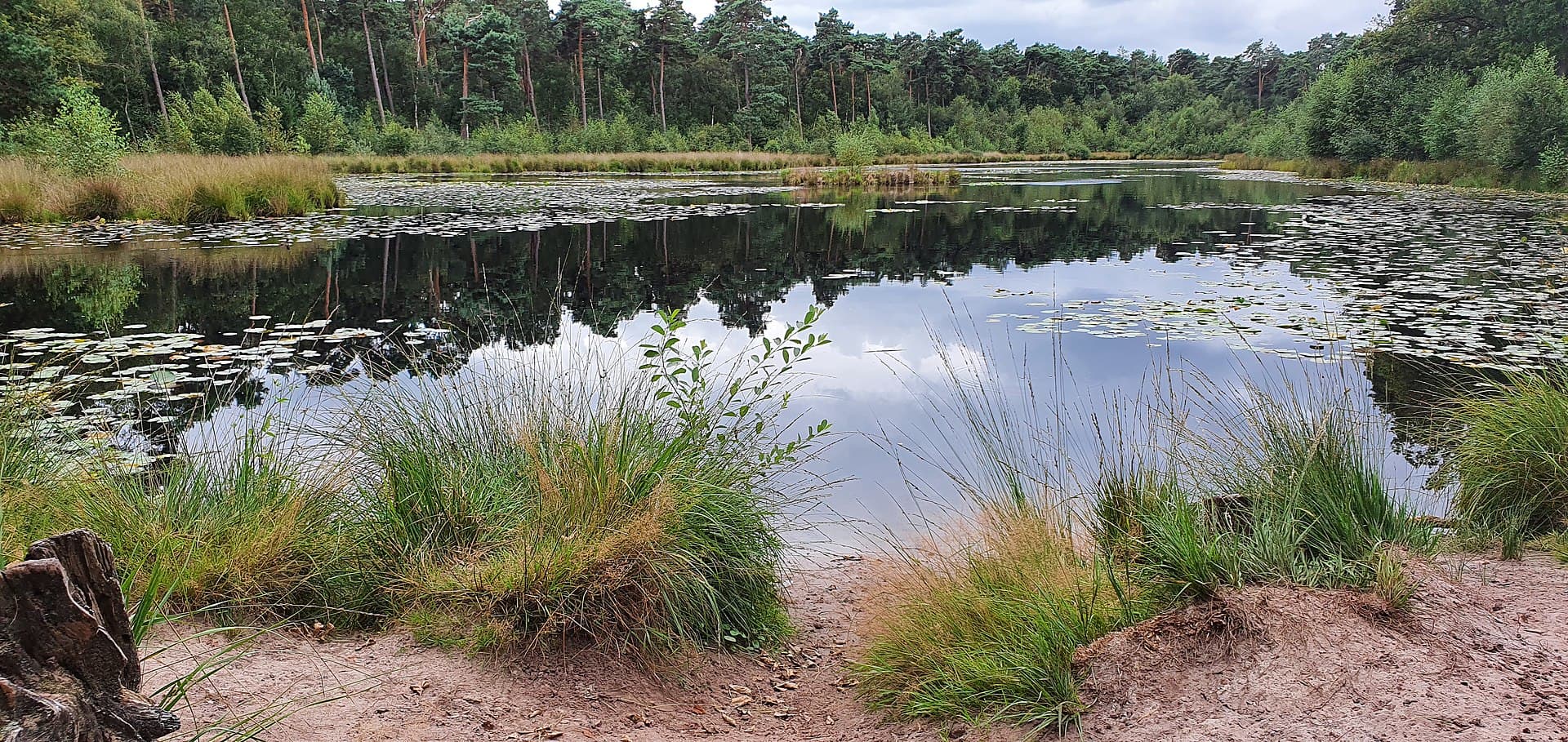 Kampina & Oisterwijkse Vennen - Klein Aderven