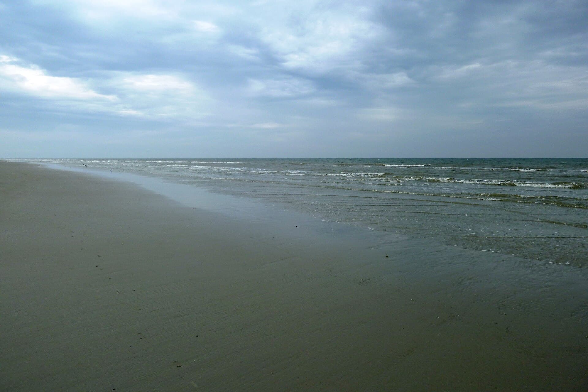 Noordzeekustzone - Noordzee - panoramio (8)