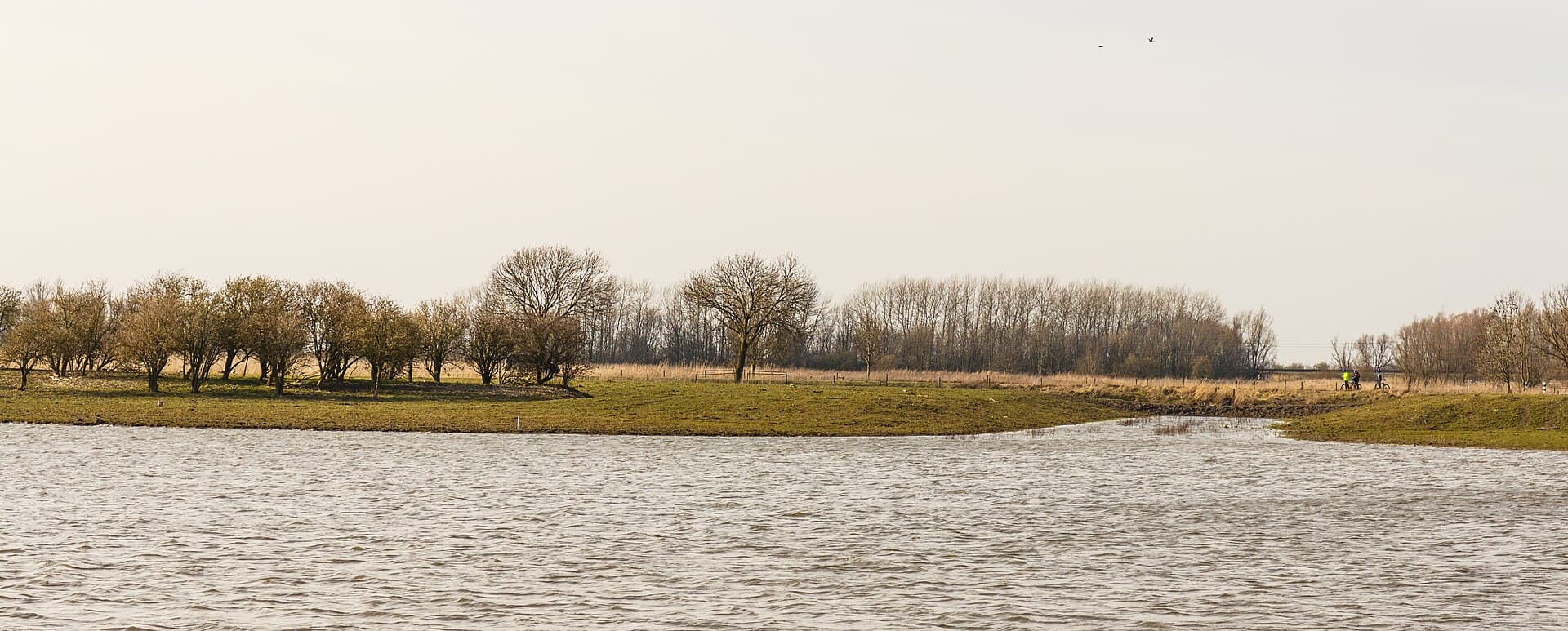 Oostvaardersplassen - Oostvaardersplassen. Nieuwe natuur op de bodem van de voormalige Zuiderzee 32