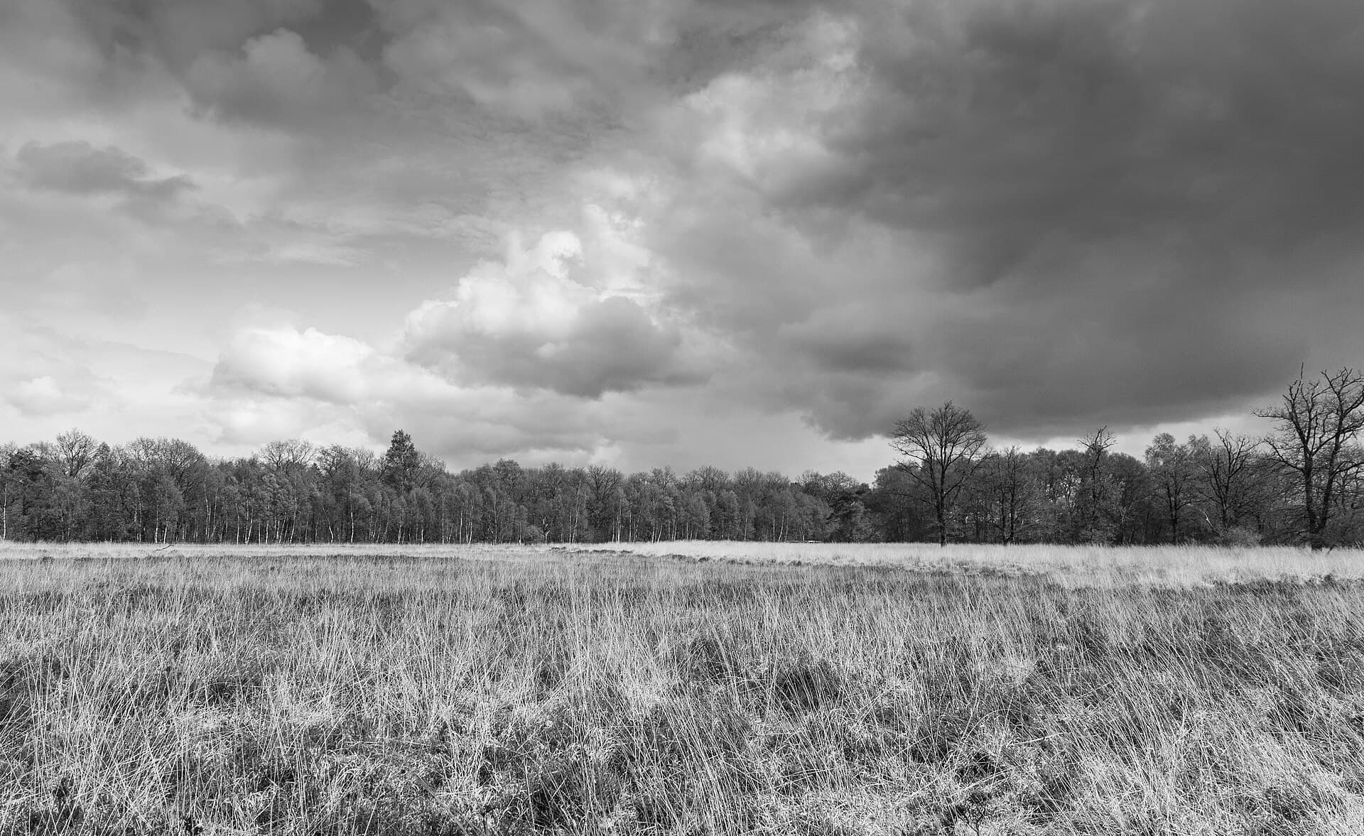 Wijnjeterper Schar - Wijnjeterper Schar, Natura 2000-gebied provincie Friesland zw 04