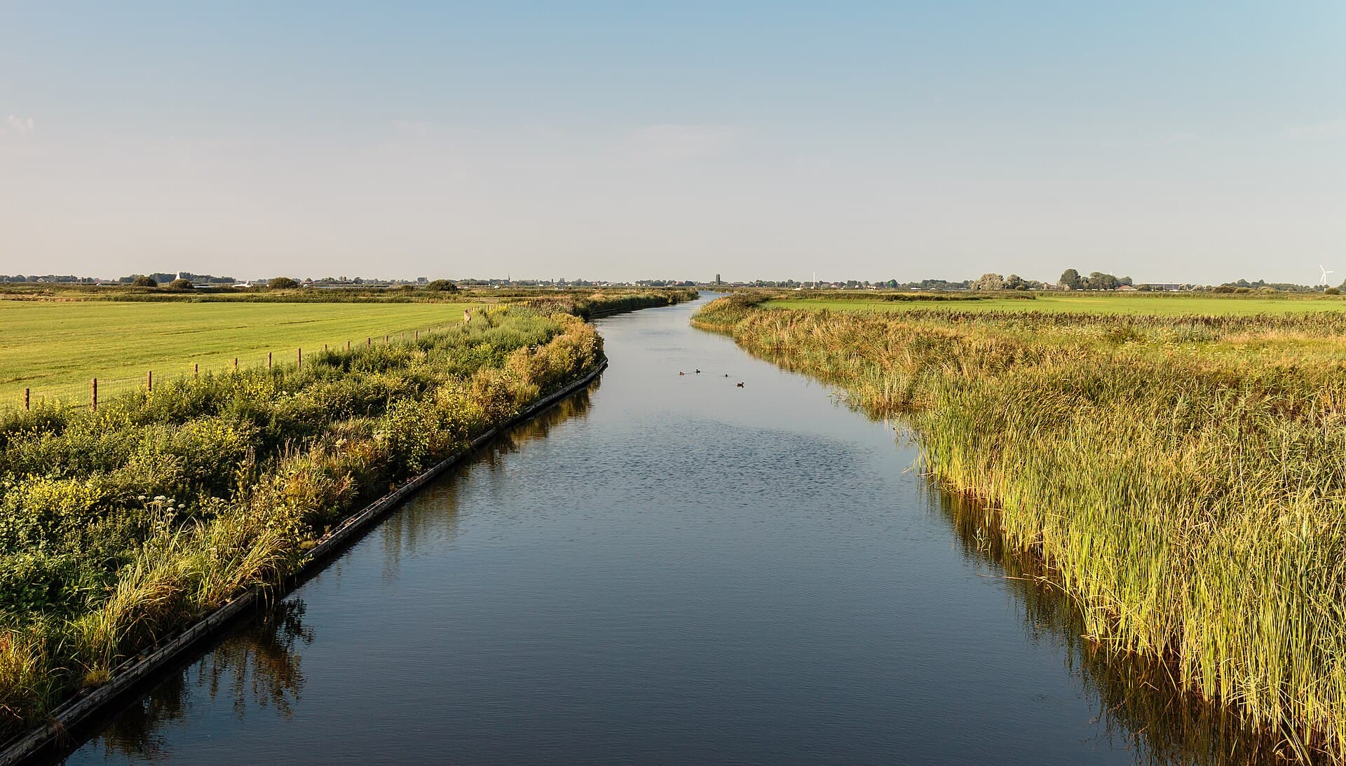 Witte en Zwarte Brekken - Broeresleat. Súdwest-Fryslân. 12-08-2020. (actm.) 01