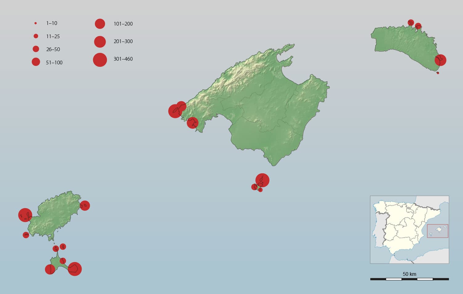 vale pijlstormvogel (Puffinus mauretanicus) - Balearic shearwater colonies